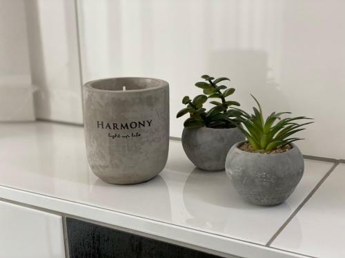 Apartamento Katzentraum