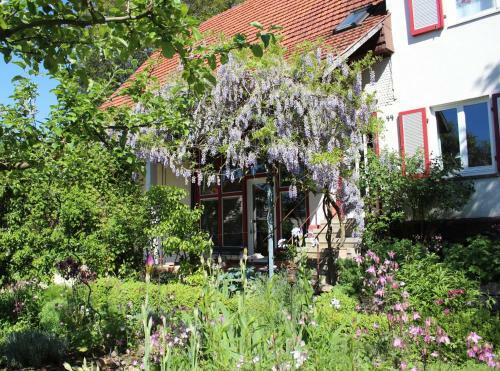 Apartamento Zur Alten Scheune