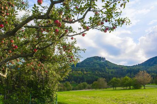 Apartamento Zur Alten Scheune
