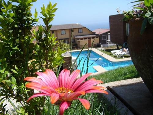 Blumen Platz Apart Hotel