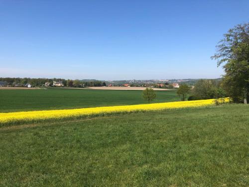 Apartment Im Gr�nen