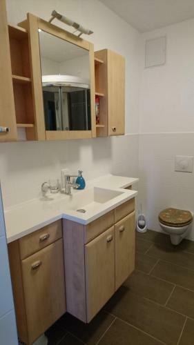 Apartamento Erholungsort B�renstein