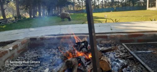 Apartamento Posada de Campo La Amada