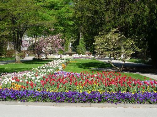 Apartamento Haus Alpenruhe