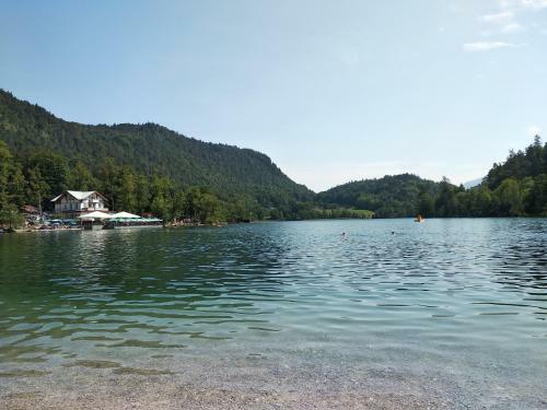 Apartamento Ferienwohnung Herzog