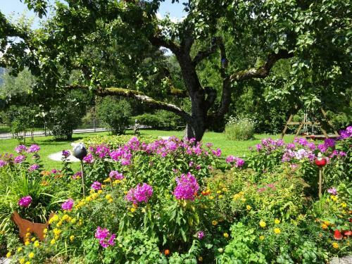 Hostal G�stehaus Auhaus