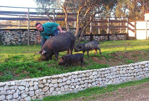 Agroturismo Herdade Da Hera