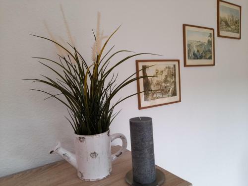 Apartamento Ferienwohnungen Herrmann