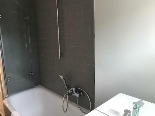 Zentrum Apartment Bad Schandau