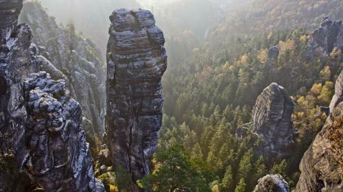 Haus Am Wald