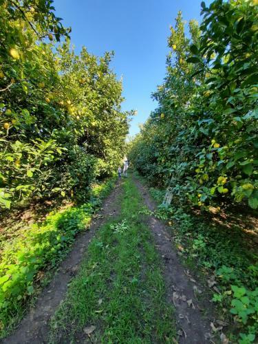Agroturismo Quinta de Castelh�o