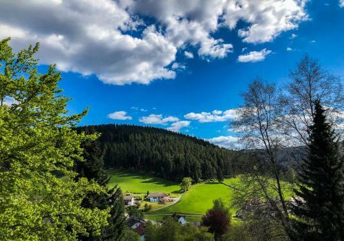 Surrbach Chalet