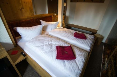 Berghotel B�renstein