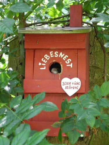Hostal G�stehof Cafe Im Schafstall