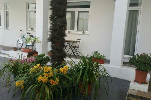 Apartamento Albergue Dos Cagar�us II
