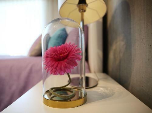Apartamento Family Studio Aveiro