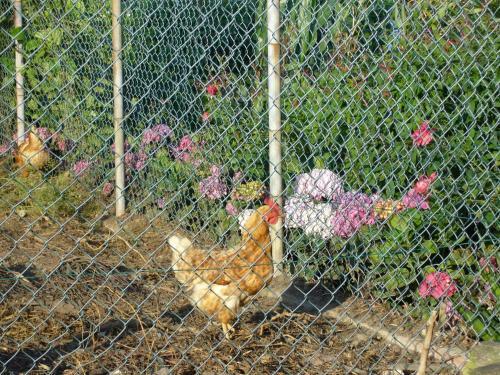 Bed & Breakfast Casa 3 �guias