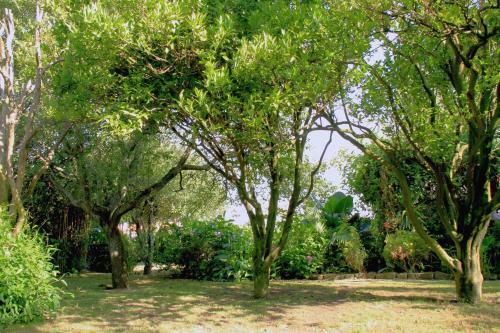 Bed & Breakfast Casa 3 �guias