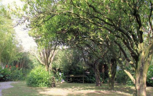 Bed & Breakfast Casa 3 �guias