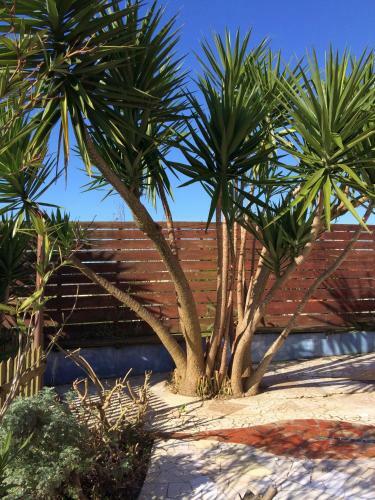 Bed & Breakfast Casa 3 �guias