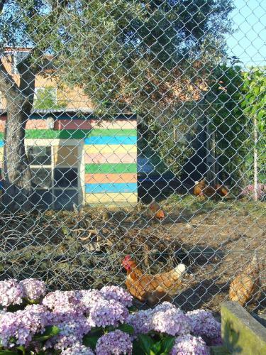 Bed & Breakfast Casa 3 �guias