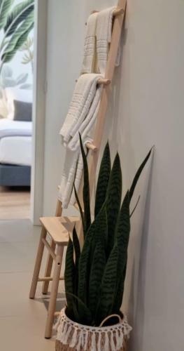 Vera Cruz Suite Apartment