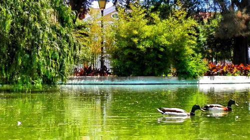 Hostal Imp�rio Romano Guest House