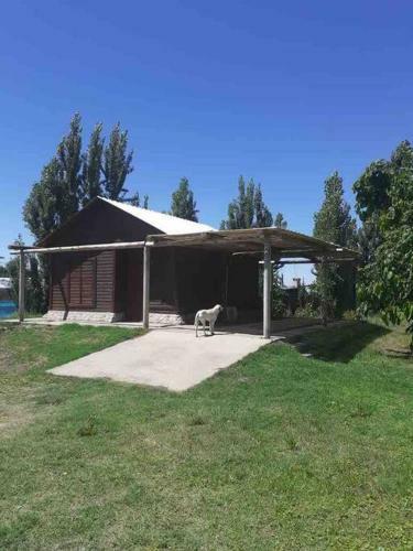 Apartamento Caba�a Guadalupe Tupungato