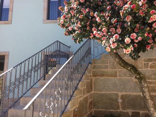 Casa Do Negr�es