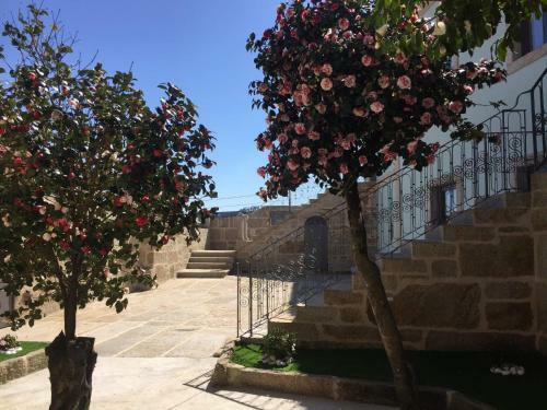 Casa Do Negr�es