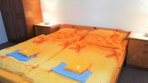 Hostal Penzion Sumavacek