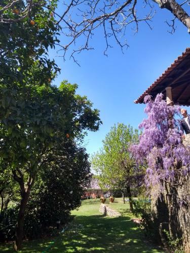 Quinta Do Sard�o