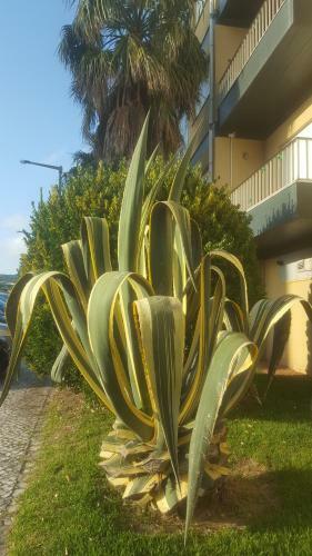 Apartamento Buarcos Beach House