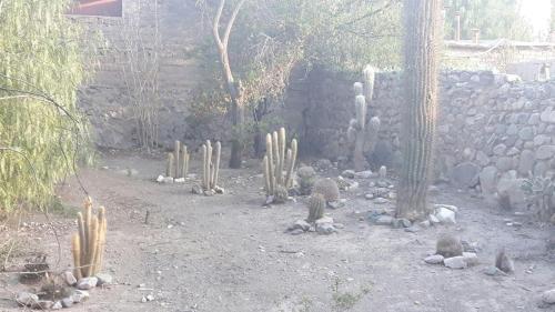 Apartamento Milfreda