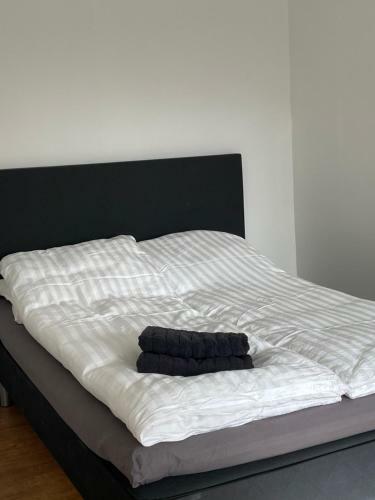 Surfers Paradise Apartments