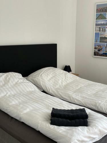 Surfers Paradise Apartments