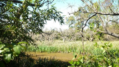 Caba�a En El Delta de Tigre