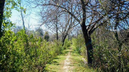 Caba�a En El Delta de Tigre