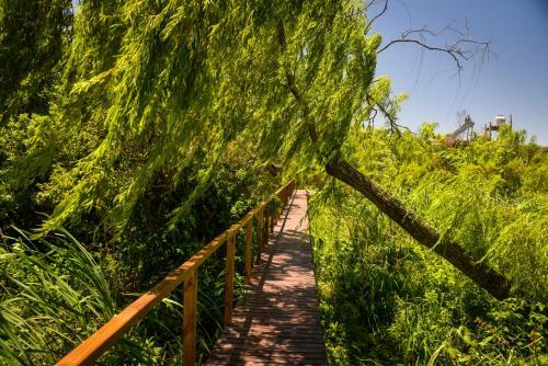 Eco Caba�a R�o - Caba�a Mirador
