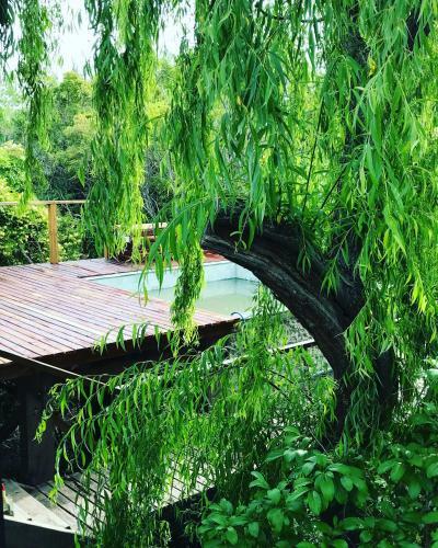 Eco Caba�a R�o - Caba�a Mirador