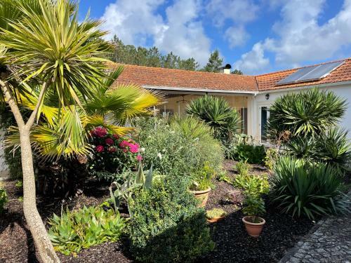 Bed & Breakfast Casa �guas Mansas