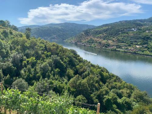 Douro Nest Houses