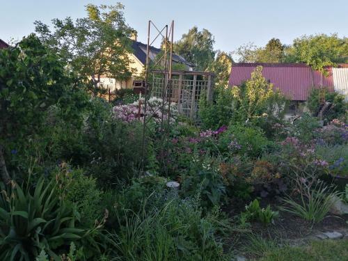Lang�huset