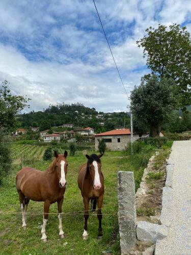 Agroturismo Mariana's Heartmade House