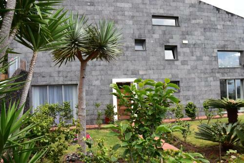Caloura Camellia House