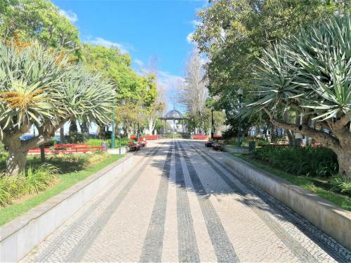 Apartamento Altium Cabanas