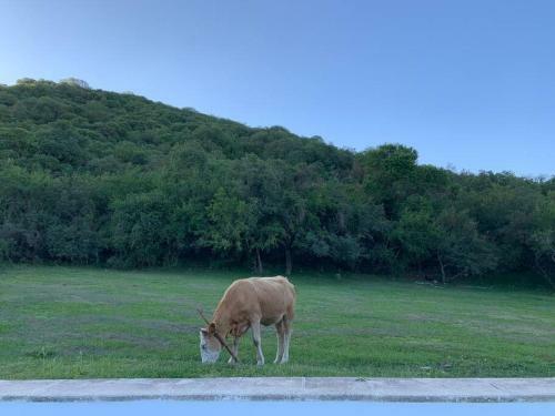 Casa de Campo Muy Cerca Del Pueblo