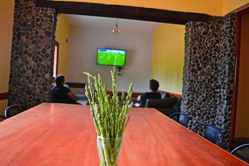 Hostel Rural/ Casa De Campo
