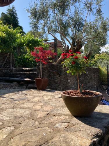 Casa Lia Da P�rta