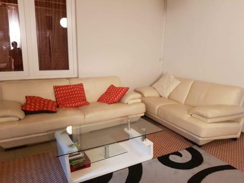 Private Room In A Luxurious Apartment, With Shared Bathroom & Kitchen